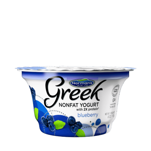 Blueberry Greek Yogurt
