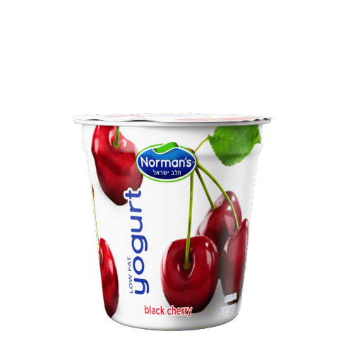 Lowfat Yogurt Black Cherry