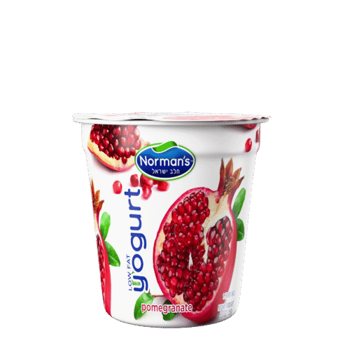 Lowfat Yogurt Pomegranate