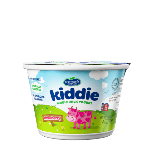 Kiddie Strawberry Yogurt