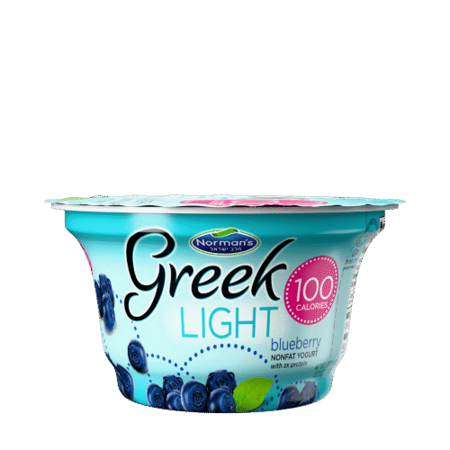 Greek Light Yogurt - Blueberry