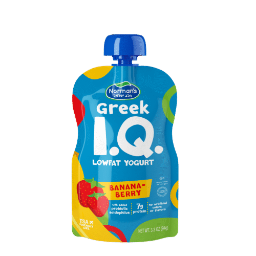 Greek I.Q. Yogurt Banana-Berry
