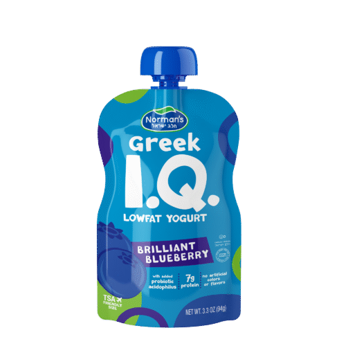 Greek I.Q. Blueberry Lowfat Yogurt (6-pack)