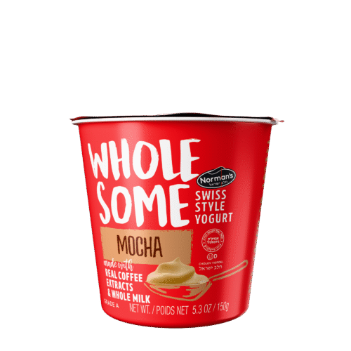 Wholesome Mocha Yogurt
