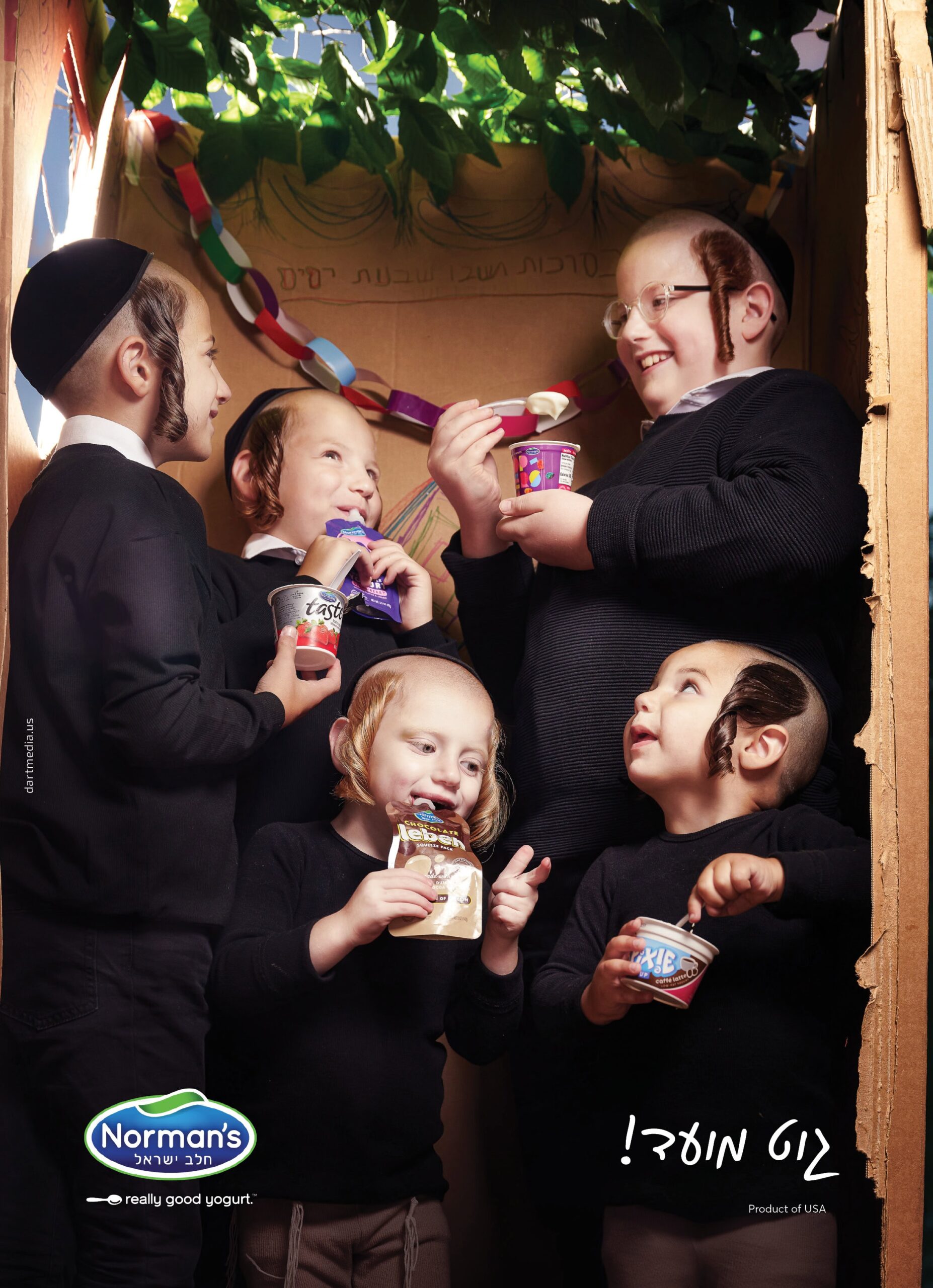 {{brizy_dc_image_alt imageSrc=